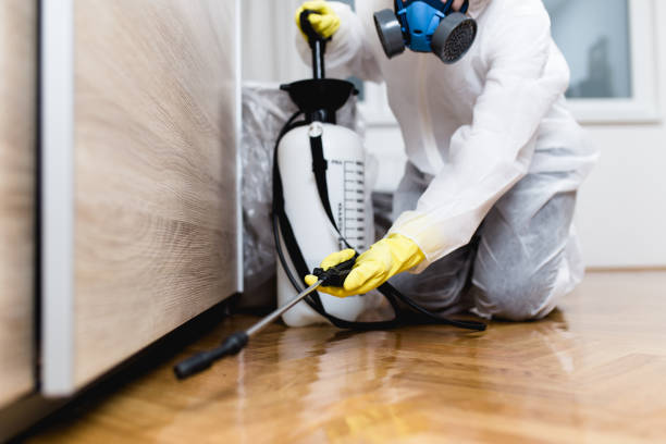 Best Cockroach Control Services  in Deshler, OH