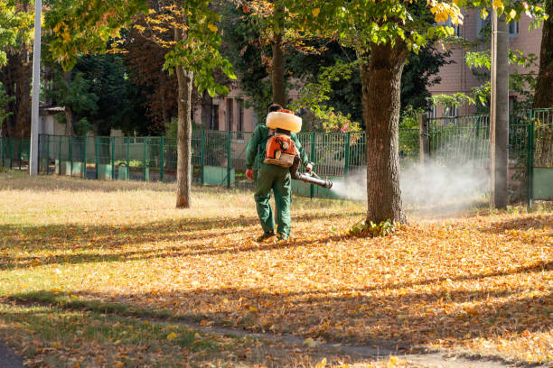 Best Bed Bug Extermination  in Deshler, OH
