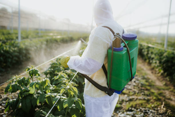 Best Wasp Removal Services  in Deshler, OH